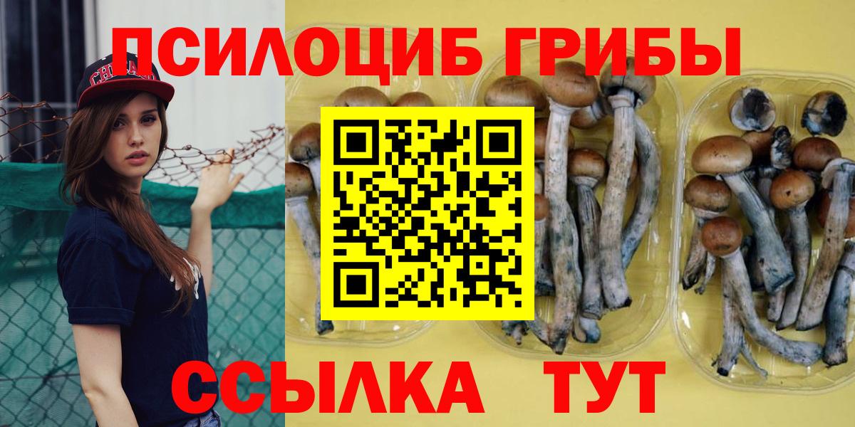 Галлюциногенные грибы Magic Shrooms Новый Уренгой